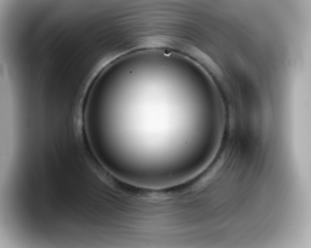 X0000099971226200805231358