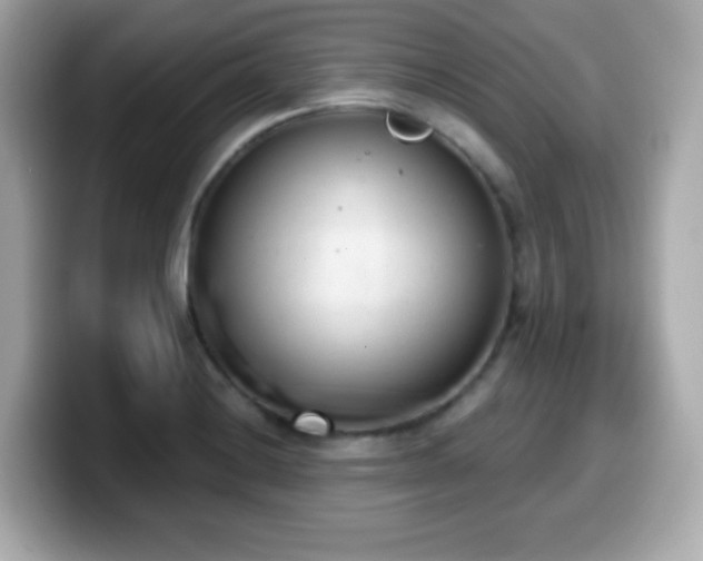 X0000099971228200805231358
