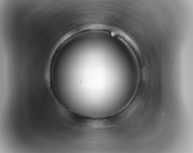 X0000099971229200805231358