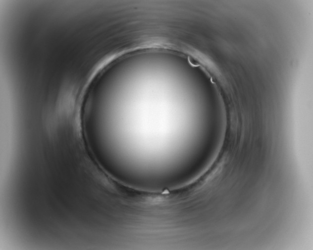 X0000099971230200805231358