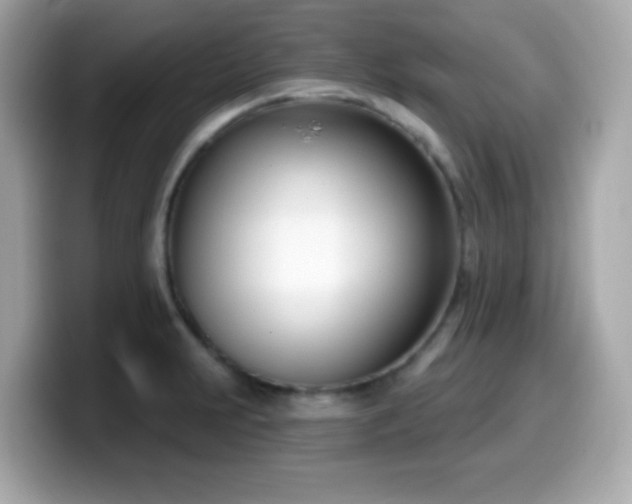 X0000099971231200805231358
