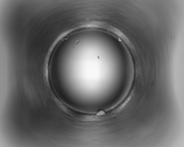 X0000099971232200805231358