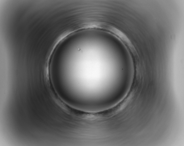 X0000099971234200805231358