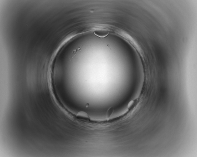 X0000099971235200805231358
