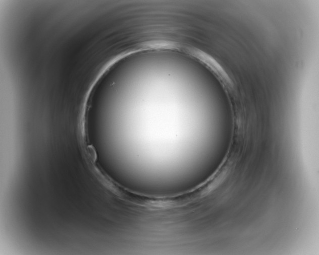 X0000099971236200805231358