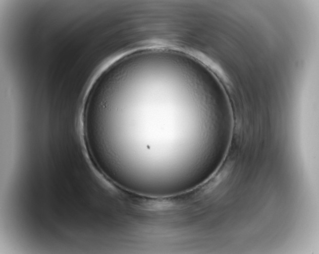 X0000099971239200805231358