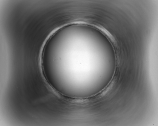 X0000099971240200805231358