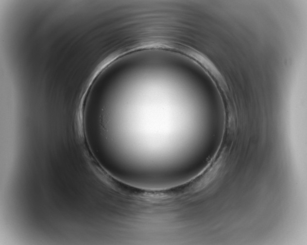 X0000099971242200805231358