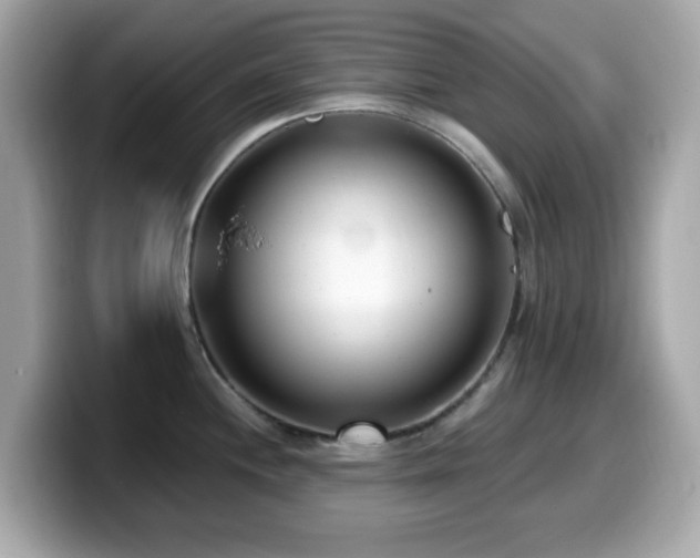X0000099971244200805231358