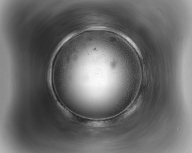 X0000099971245200805231358