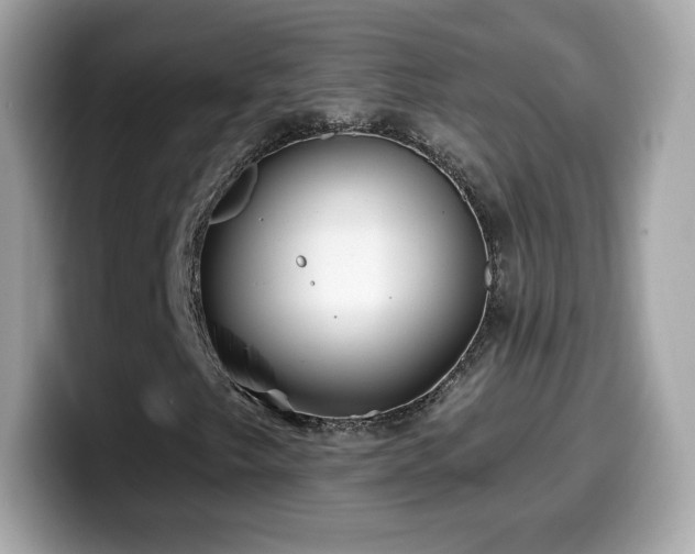 X0000099971249200805231358