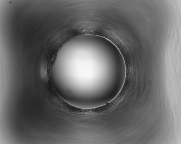 X0000099971250200805231358