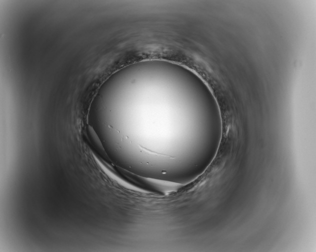 X0000099971253200805231358