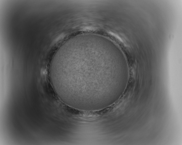X0000099971254200805231358