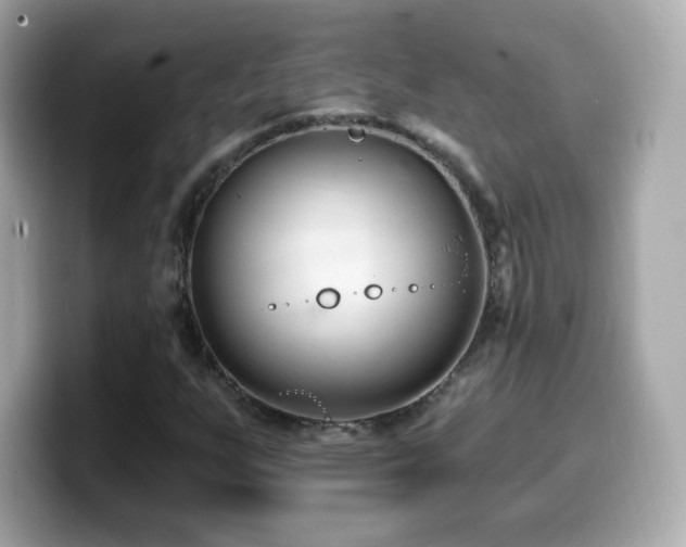 X0000099971255200805231358