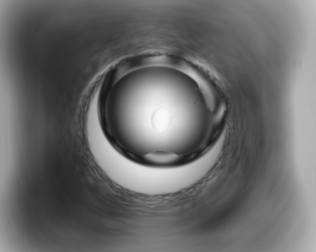 X0000099971256200805231358