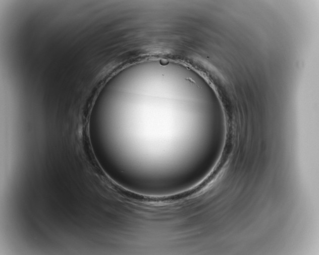 X0000099971257200805231358