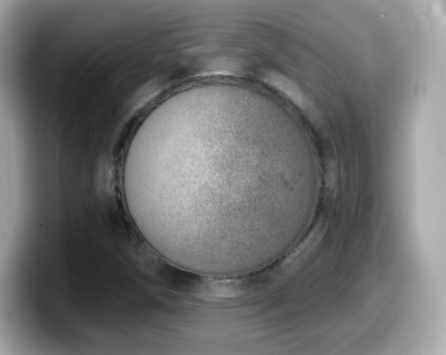 X0000099971258200805231358
