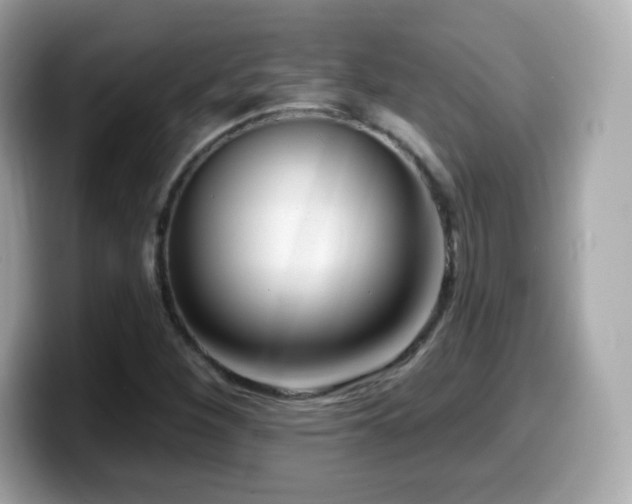 X0000099971260200805231358