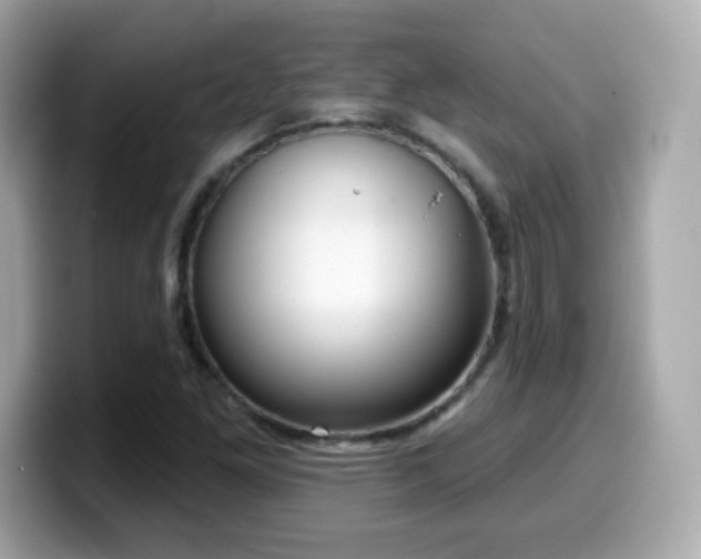 X0000099971261200805231358