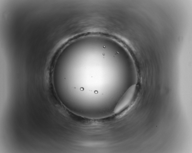X0000099971263200805231358