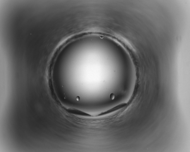 X0000099971264200805231358
