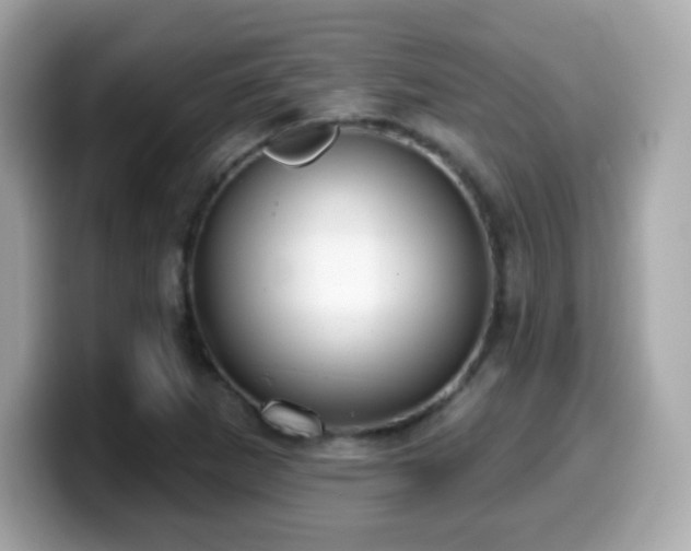 X0000099971265200805231357
