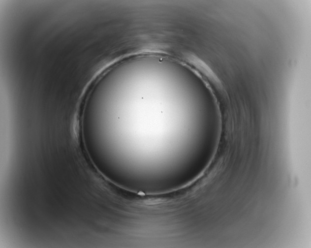 X0000099971268200805231357