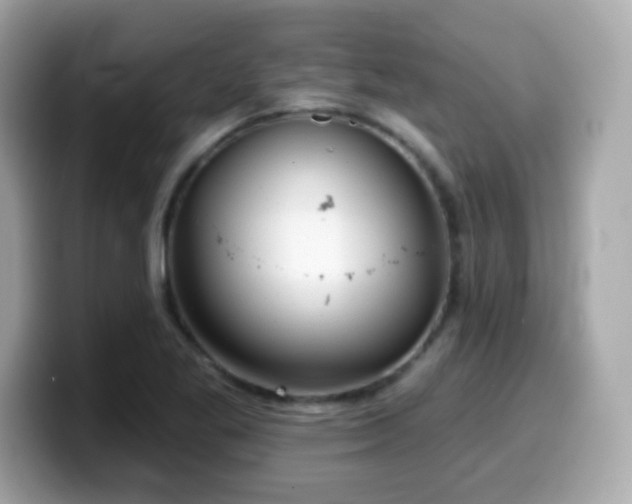 X0000099971269200805231357