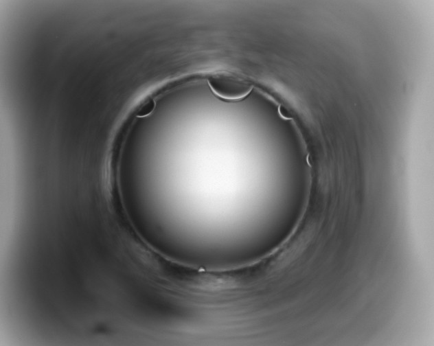X0000099971270200805231357