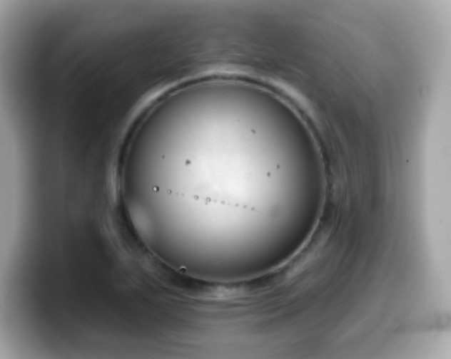X0000099971271200805231357