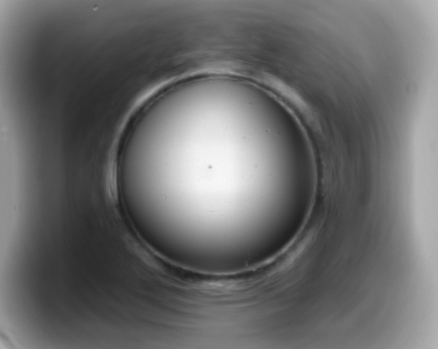 X0000099971272200805231357