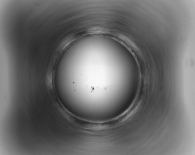 X0000099971273200805231357