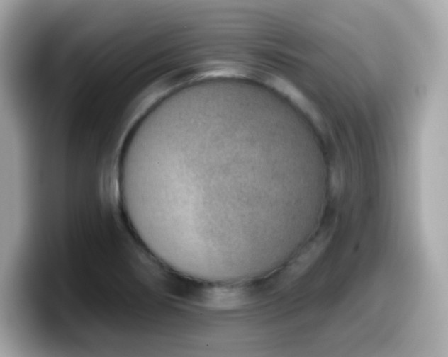 X0000099971274200805231357