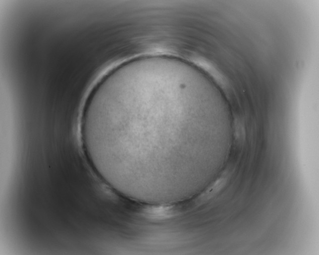 X0000099971278200805231357