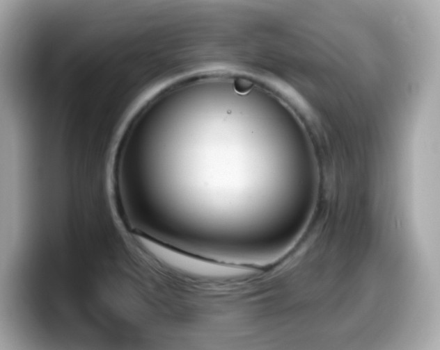 X0000099971279200805231357