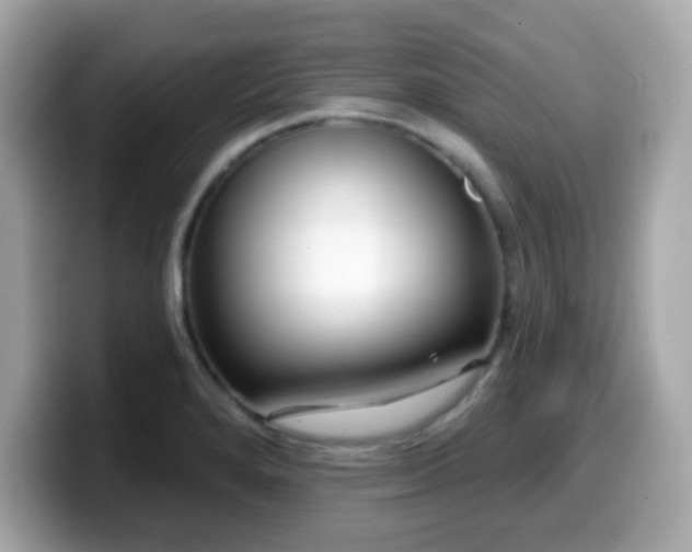 X0000099971280200805231357