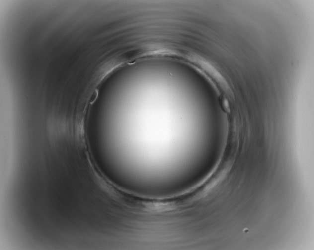 X0000099971281200805231357