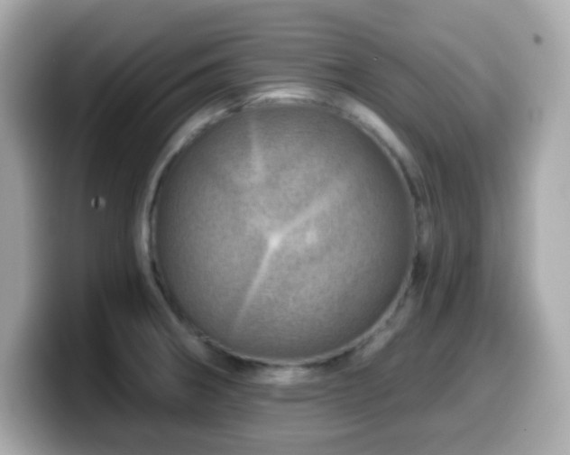X0000099971282200805231357