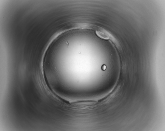 X0000099971283200805231357