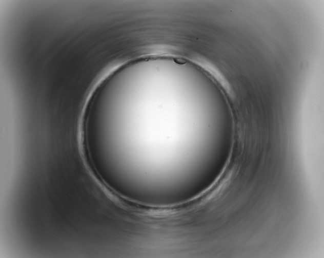 X0000099971285200805231357