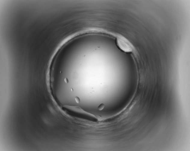 X0000099971287200805231357