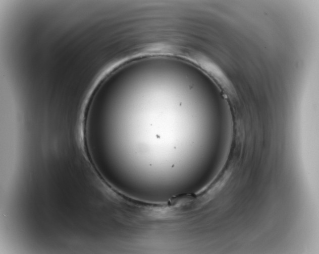 X0000099971288200805231357