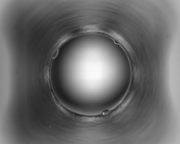 X0000099971289200805231357