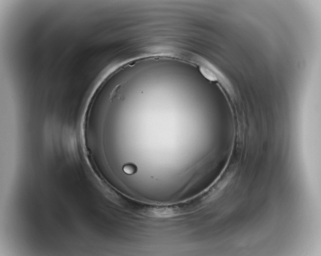 X0000099971291200805231357
