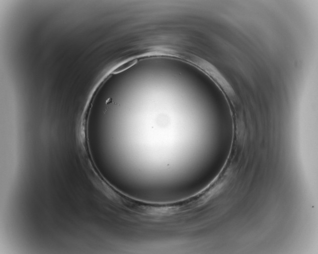 X0000099971292200805231357