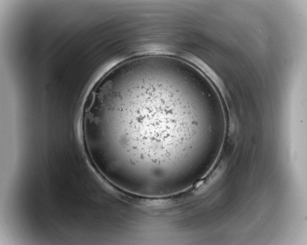 X0000099971293200805231357