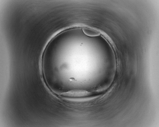 X0000099971295200805231357