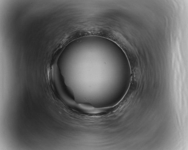 X0000099971298200805231357