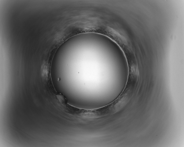 X0000099971300200805231357